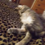 Barbara Wester - @barbara.wester.750 - Instagram