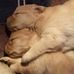 Barbara Westergard - Facebook
