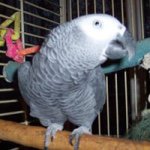 Barbara Westfall - @granny12839 - Instagram