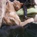 Barbara Westfall-Davis - Facebook