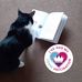 Barbara Westhead - Facebook