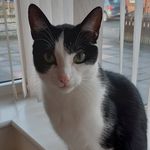 barbara westhead - @barbarawesthead091 - Instagram