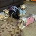 Barb Dunn Westover - Facebook
