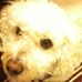 Barbara Westrick - Facebook