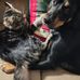 Barbara Wetherbee - Facebook