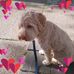 Barbara Wexler - Facebook