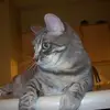 Barbara Whaley Smith - @user841149471 - TikTok