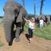 Barbara Wheatley - Facebook