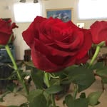 Barbara Wheatley - @wisley2018 - Instagram