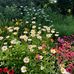 Barbara Wheatley - Facebook