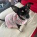 Barbara Whelan - Facebook