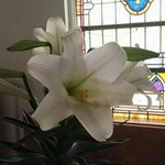 Barbara Whitaker Krumm - @barbkrumm - Instagram