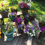 Barbara Whitcomb - @whitcomb3559 - Instagram