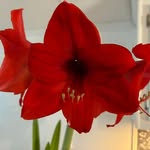 Barbara Whited - @bhale1127 - Instagram