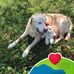 Barb Whitehurst - Facebook