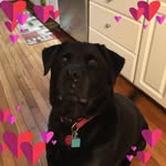 Barbara Whiteman Truhler - @btruhler - Instagram