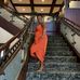 Barbara Whitfield - Facebook