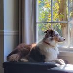Barbara M Whitlock - @bmwhitlock68 - Instagram