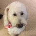 Barb Whitlow - Facebook
