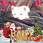 Barbara Whitmore - Facebook