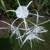 Barbara Whittington - @barbara.whittingt7 - TikTok