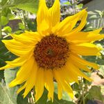 Barbara Harter Whitton - @whitton30 - Instagram