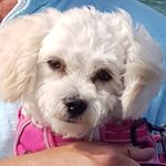 Barbara Wichmann - @27.1963284 - Instagram