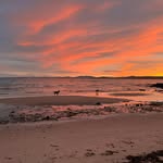 Barbara Wicks - @barbarawicks - Instagram