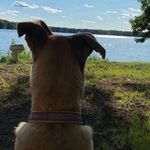 Barbara Wicklund - @wicklundbarbara - Instagram