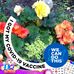Barbara Wickstrom - Facebook