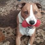 Barbara Widener - @barbara.widener.31 - Instagram