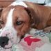 Barbara Widener - Facebook