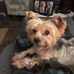 Barbara Widener - Facebook