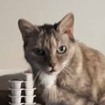 Barbara Wiebe Cisecki - @wiebecisecki - Instagram