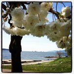 Barbara Wiegand - @gamcannyg - Instagram