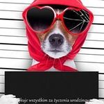 Barbara Wiegandt - @barbarawiegandt - Instagram