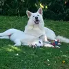 barbarawigele2 - @barbarawigele2 - TikTok