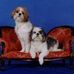 Barbara Wiens - Facebook