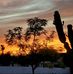 Barbara Wier - Facebook