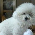 Barbara Wier DeRaad - @beauridgecabin - Instagram