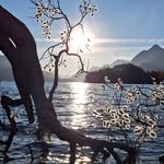 Barbara Wiesner - @wiesner7906 - Instagram