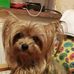Barbara Wiesner - Facebook