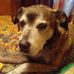Barbara Wightman - Facebook