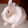 Barbara Wiktor12 - @barwik123 - TikTok