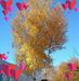 Barbara Wiktor - Facebook