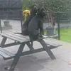 barbarawilbertvan - @barbarawilbertvan - TikTok