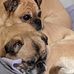 Barbara Wildman Brown - Facebook