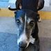 Barbara Wiles - Facebook