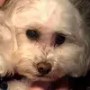 Barbara Wilk - @liveanything123 - TikTok