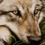 Barbara Wilk - @wilk256 - Instagram
